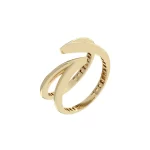 Ring ER201116